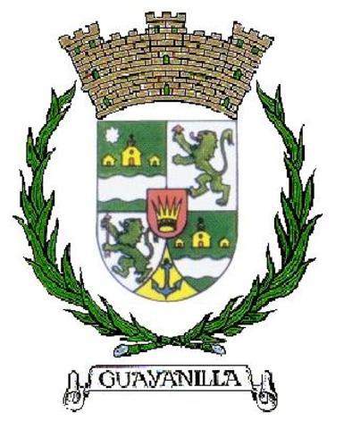 simbolismo del escudo