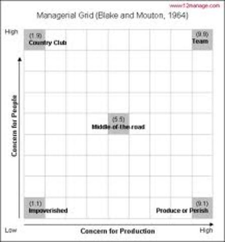 Managerial Grid Model