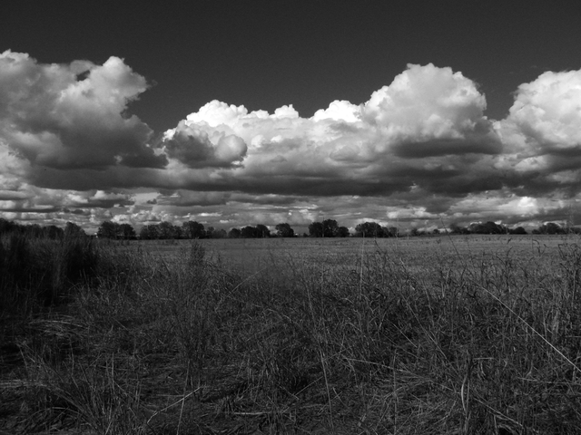 Making it to the West