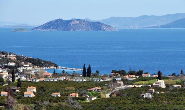 Money? Money, anyone?