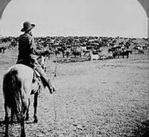 * My New Home: Part 1