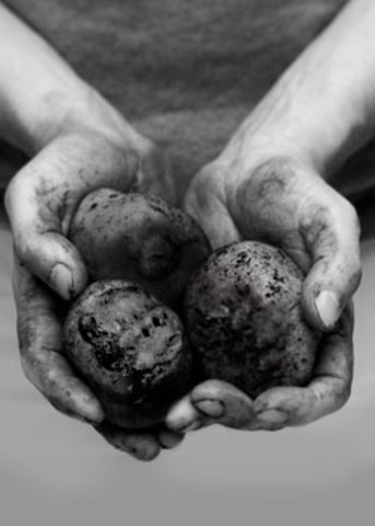 Coming to America and the Potato Famine