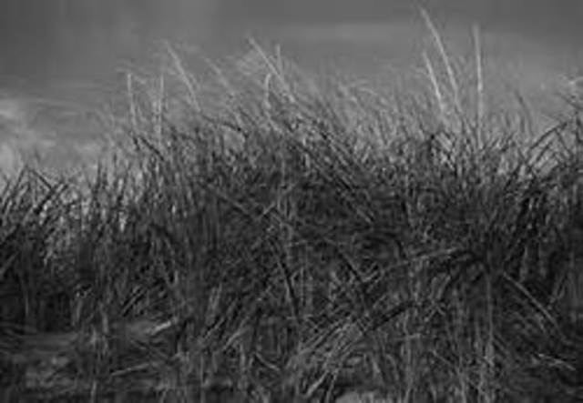 Temptation in the west to great