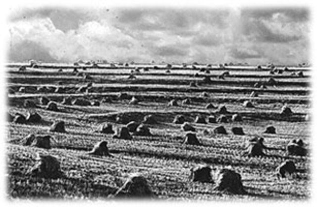 Arriving at the appointed place