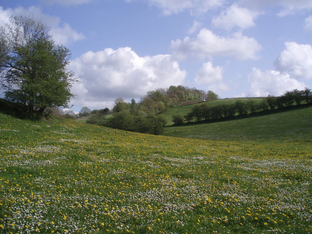 Claiming a Plot of Land