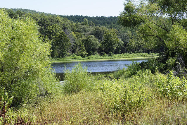 Settling in the West