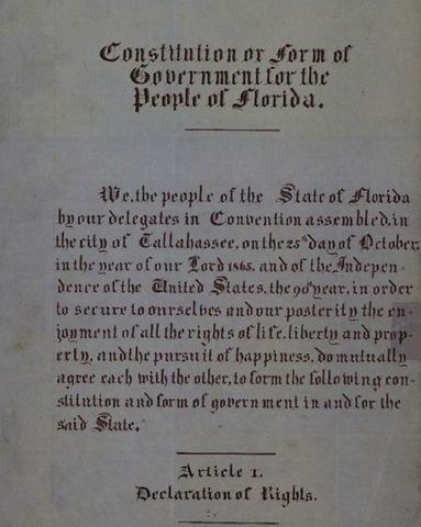 New Florida Constitution