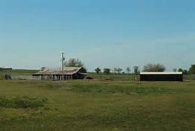 Living on our own Land