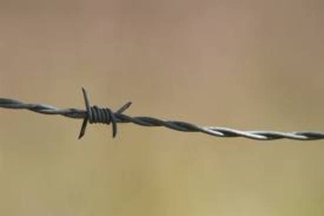 Barbed Wire