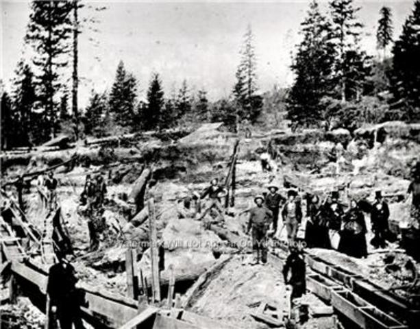 California Was a New Oppurtunity