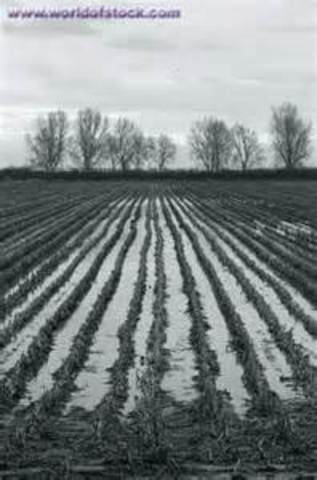 The Hardships of the West