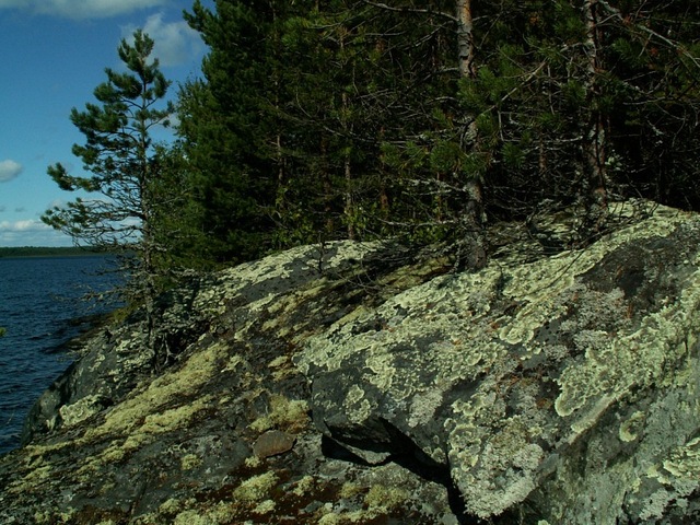 Северный берег Совдозера