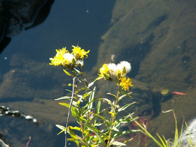 Некоторые кадры