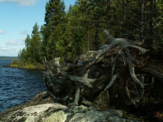 Берега озера