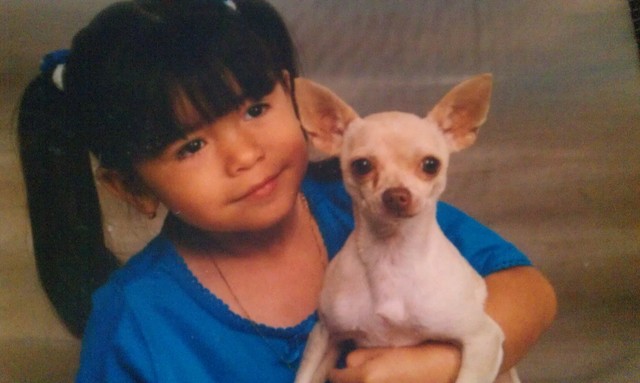 2.5 yrs old Had a Photo Shoot with my chihuahua Vanilla