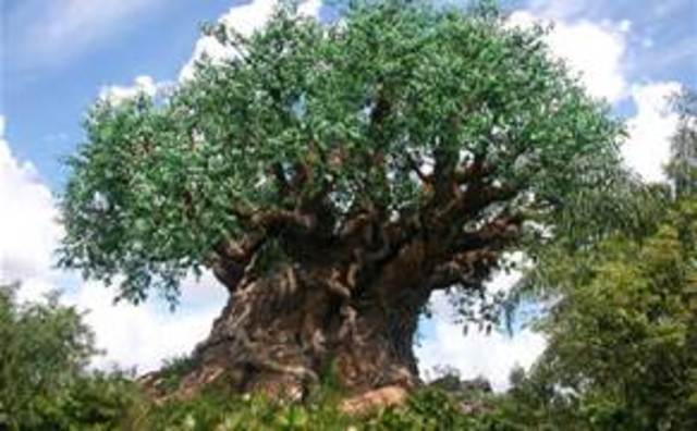 Disney's Animal Kingdom opened