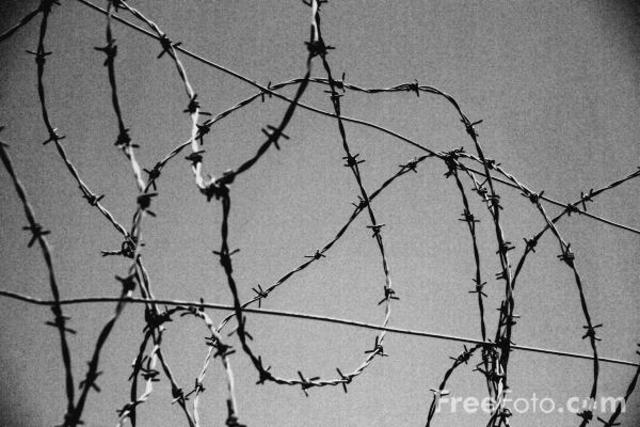 Barbed Wire