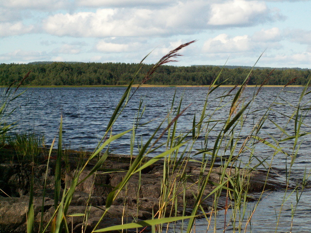 Рыбинское водохранилище