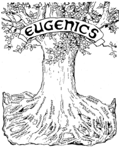 Eugenics