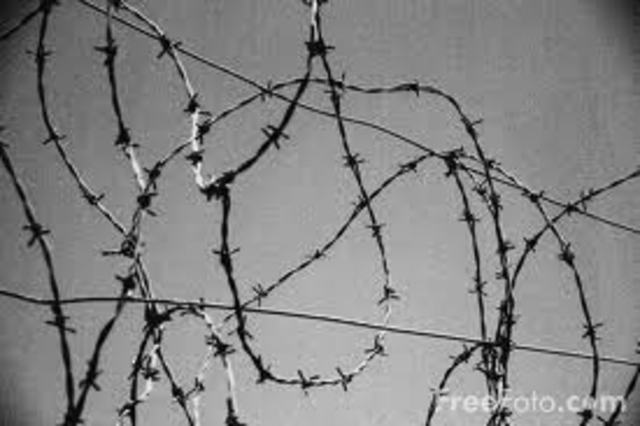 barbed wire