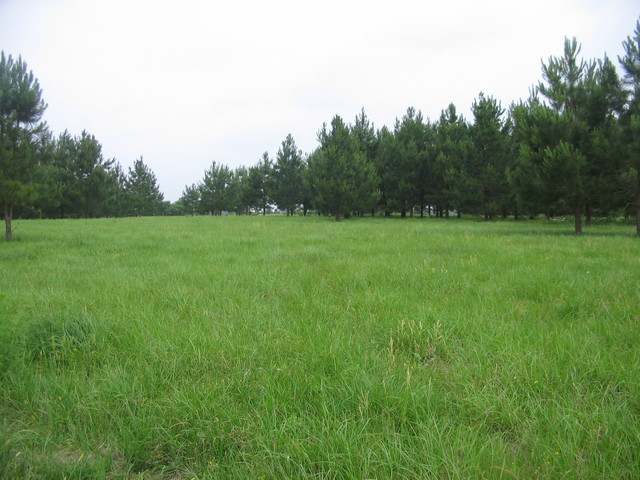 First Step to Starting Over