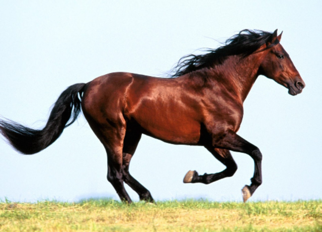 Arriving in the West