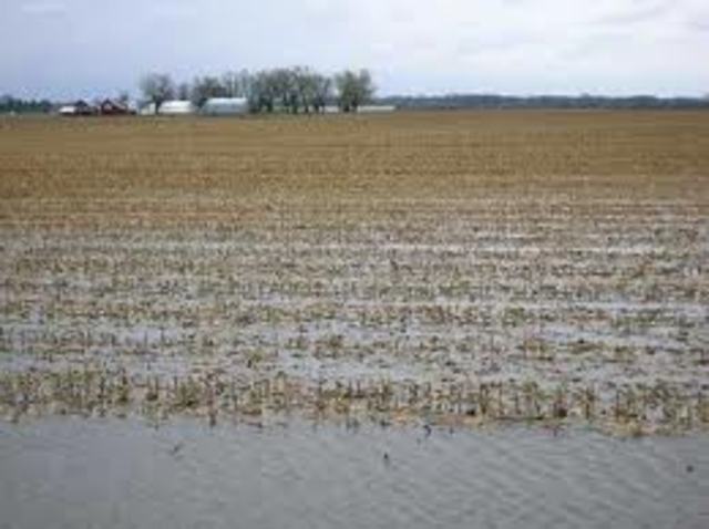 Crops flooded