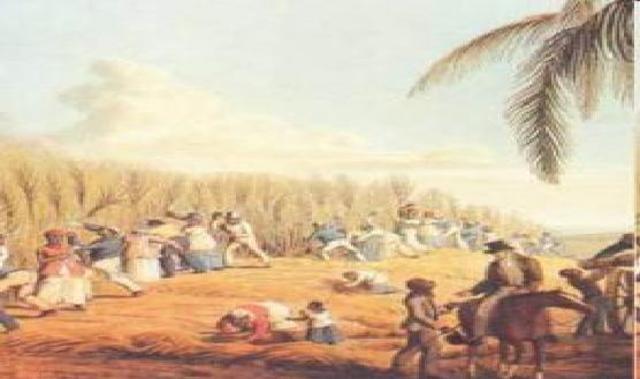 Saint Domingue Production