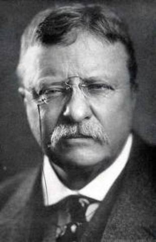 Teddy Roosevelt