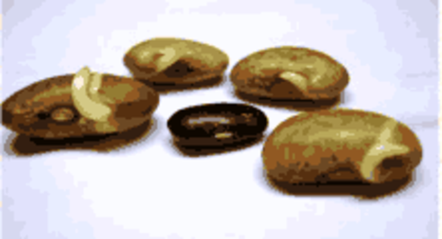 Зерна проросли. Появились корешки.