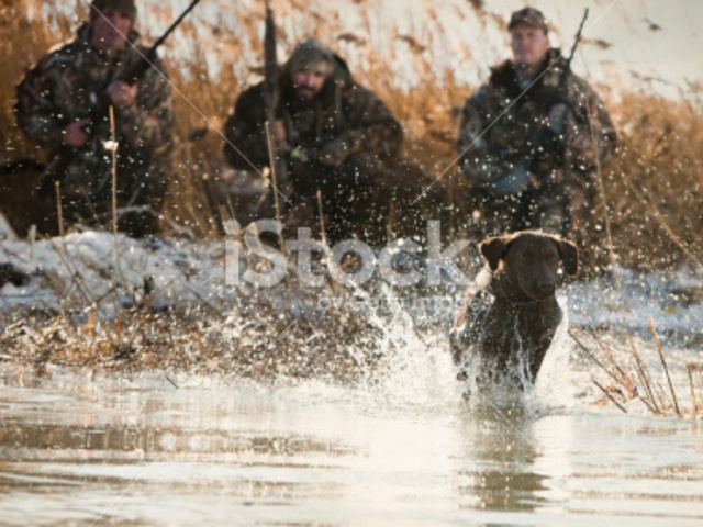 Master Plan... Gone Wrong