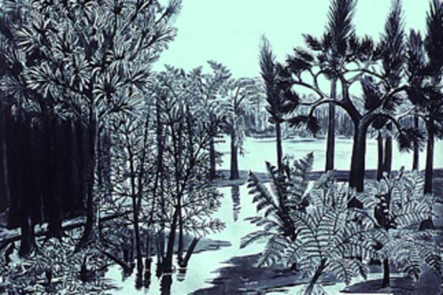 Carboniferous 345M-280M