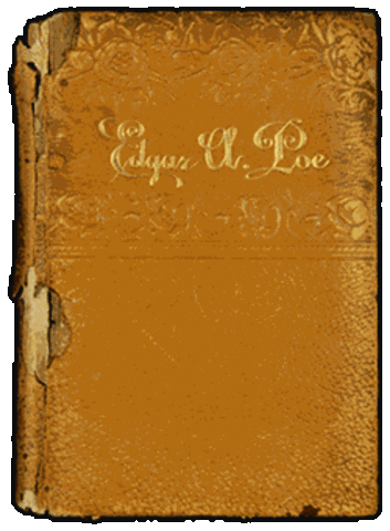 Poe writes his first novel