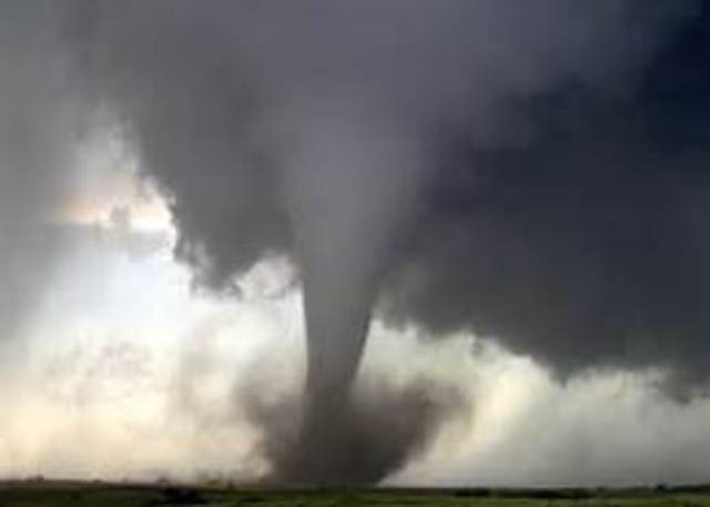 tornado destroys crops