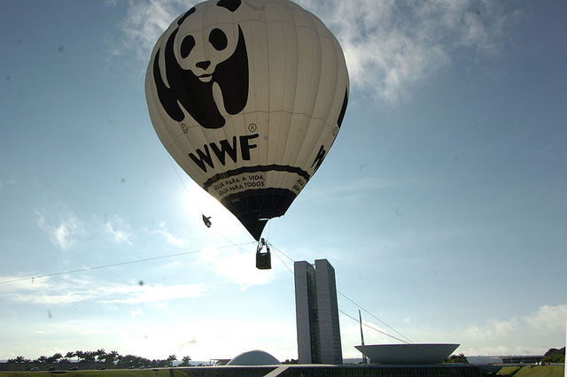 Se crea la "WWF"