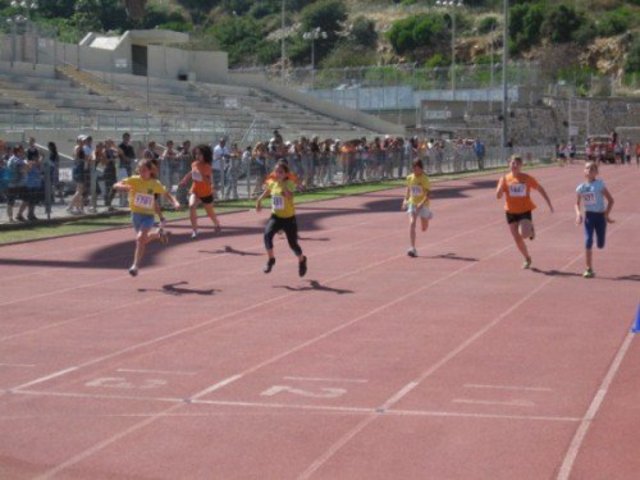 Israel's championship