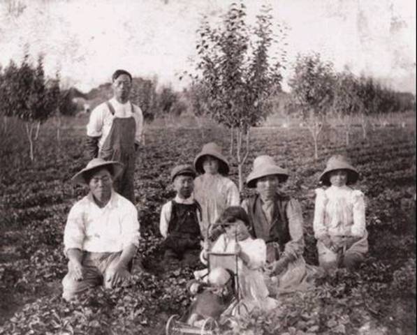 James starts to grow crops