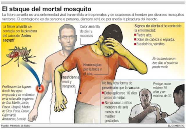 - Carlos Finlay fiebre amarilla