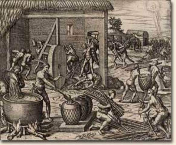 Affranchis given rights