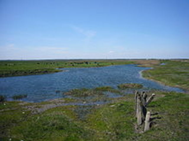 publica si trabajo  mas famoso  el chernozem