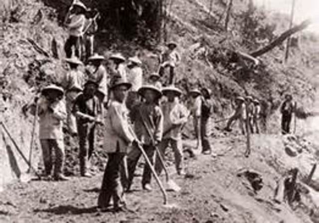 Chinese Exclusion Act, mabye America wasnt a good idea...