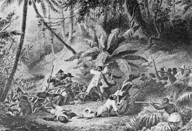 The War of Knives begins