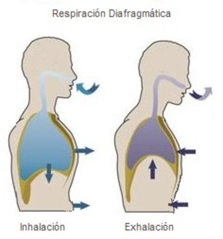 Respiracion Mecanica