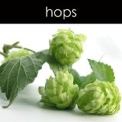 C.E. Hops