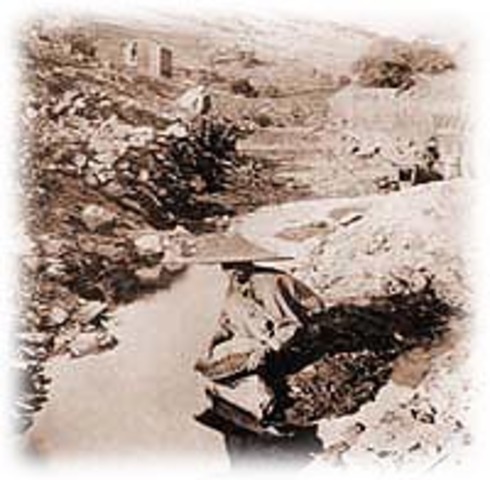 Gold Mountain, Chinese Gold Rush