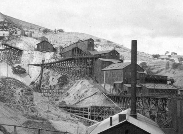 Racism Gets Me Fired