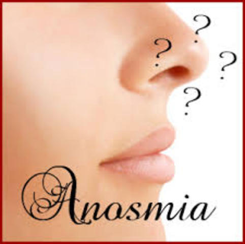 I Don't Have a Sense of Smell - It Stinks!