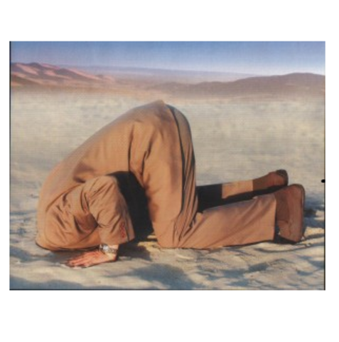 Brown and Dorion Become Joint Premiers