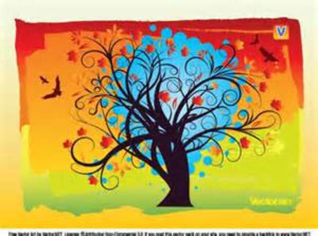 PROJEKT "DRZEWA - NASI STARSI BRACIA"