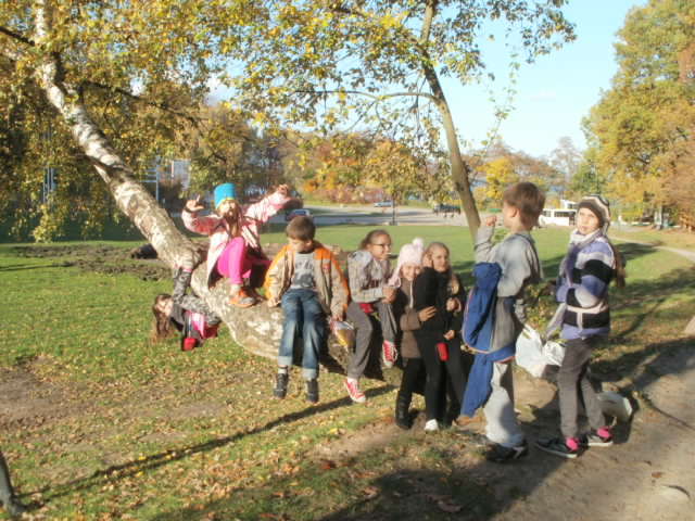 WYPRAWA DO REZERWATU PRZYRODNICZEGO KĘPA REDŁOWSKA